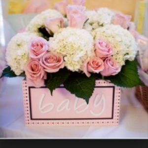 Meet your Posher, Jasmine