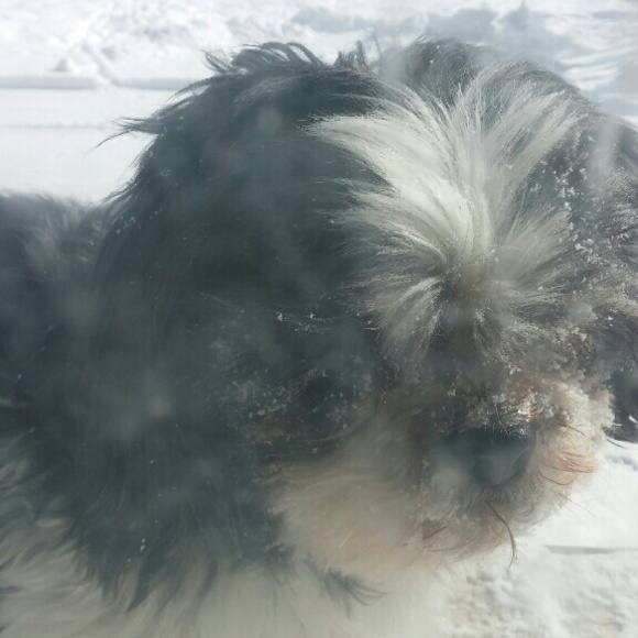 I'm now a suggested user💜💜💜💜💜 - Picture 2 of 2