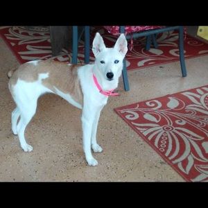 Meet your Posher, Heather