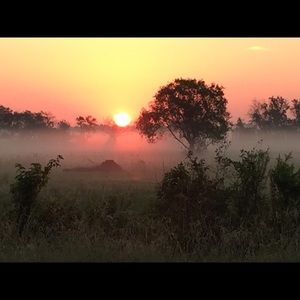 Meet your Posher, Kelley