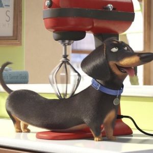 Meet your Posher, Anna