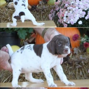 Meet your Posher, Erin