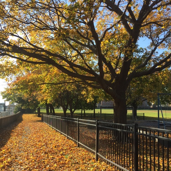 Meet your Posher, Sue