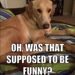 Meet your Posher, Jenny