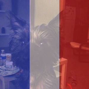 Meet your Posher, Janel