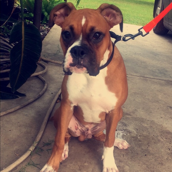 Meet your Posher, Arlene