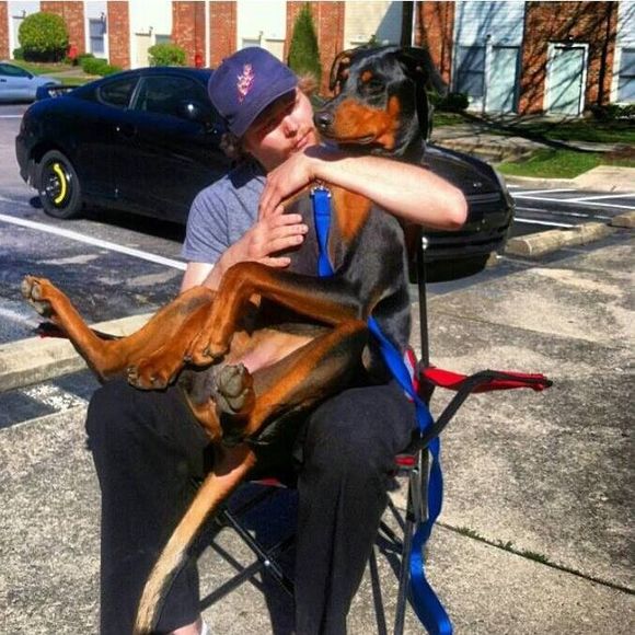 Meet your Posher, Patrick - Picture 1 of 1