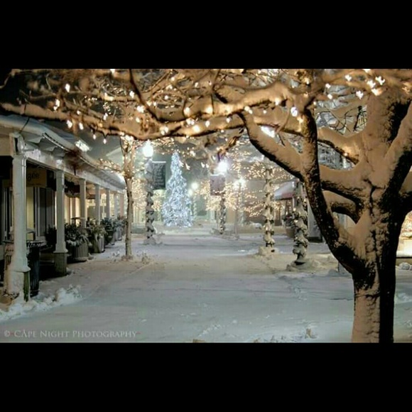 Meet your Posher, Laura - Picture 1 of 1