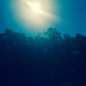 Meet your Posher, Hayley