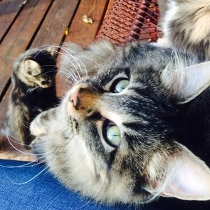 Meet your Posher, Alexis