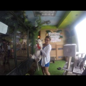 Meet your Posher, Mona