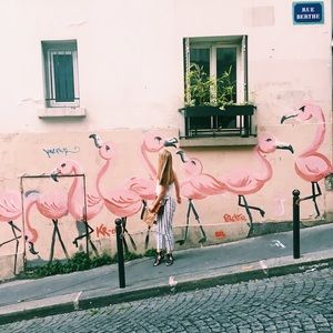 Meet your Posher, Amaya