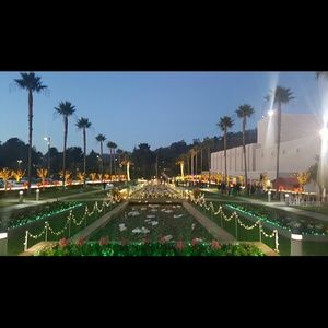 Meet your Posher, Jacqueline