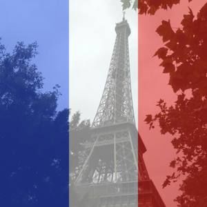 Meet your Posher, Dominique