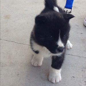 Meet your Posher, Ardnassela