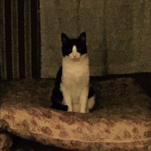 Meet your Posher, Carley