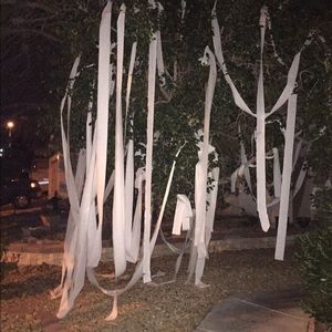 Meet your Posher, Audrey