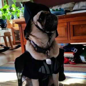 Meet your Posher, Kalea