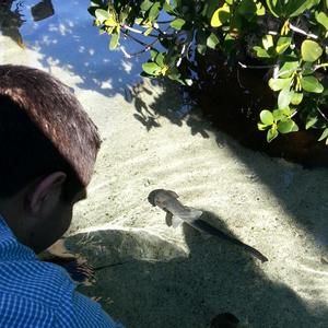 Meet your Posher, Johnny