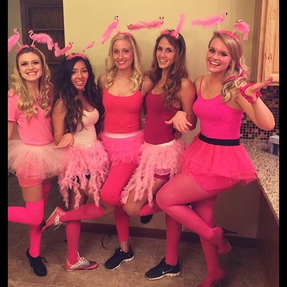 Meet your Posher, Alexis - Picture 1 of 1