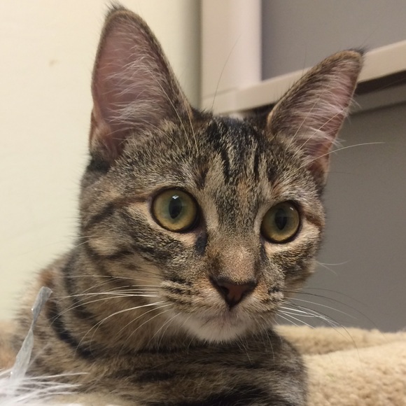 Meet your Posher, Katherine