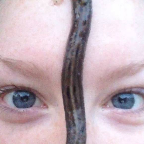 Meet your Posher, Sydney