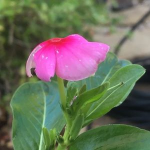 Meet your Posher, Don