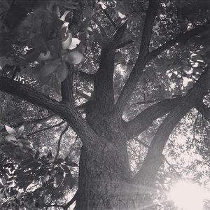 Meet your Posher, Mariah