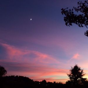 Meet your Posher, Maci