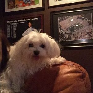 Meet your Posher, Terri