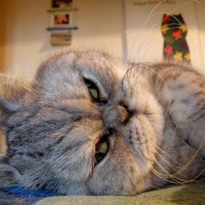 Meet your Posher, Mandy