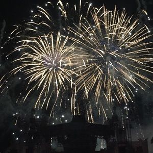 Meet your Posher, Bailey