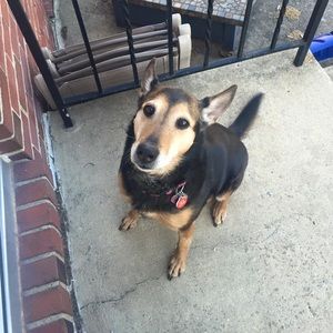 Meet your Posher, Maria