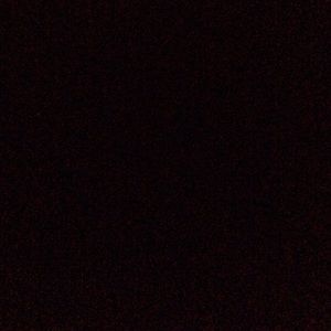 Meet your Posher, Annie