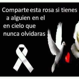 Meet your Posher, Peggy