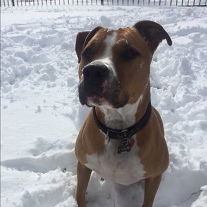 Meet your Posher, Aimee