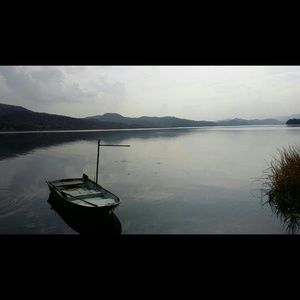 Meet your Posher, Haejin