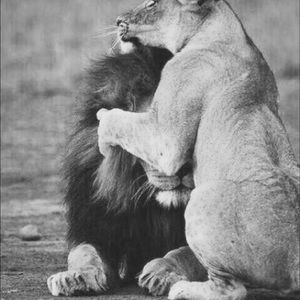 Meet your Posher, Aylin