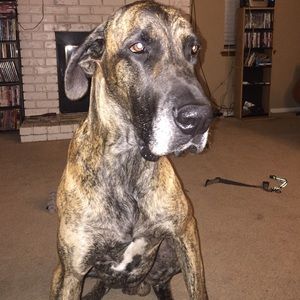 Meet your Posher, Kendra