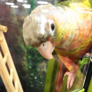 Meet your Posher, Vicky