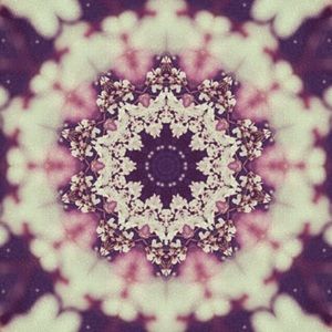 Meet your Posher, Jada