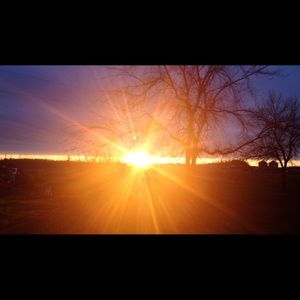 Meet your Posher, Elise