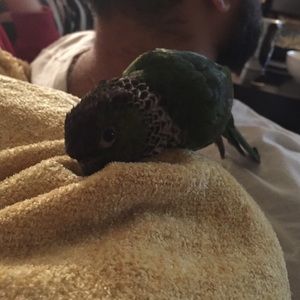 Meet your Posher, Naheed