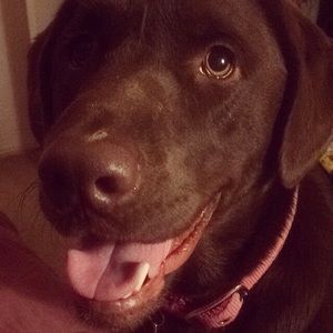 Meet your Posher, Nichole