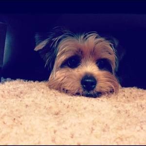 Meet your Posher, Elisa