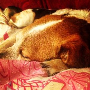 Meet your Posher, Kristine