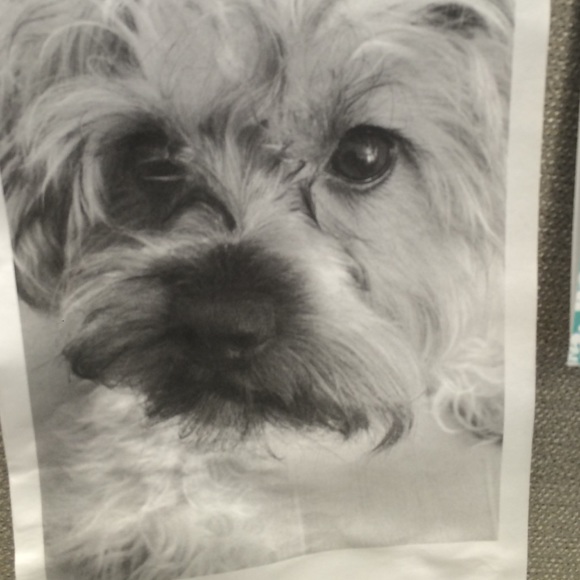 Meet your Posher, Maria - Picture 1 of 1