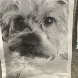 Meet your Posher, Maria