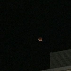 Meet your Posher, Ashlee