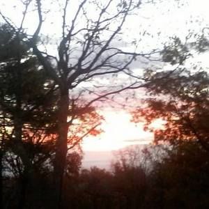 Meet your Posher, Missy